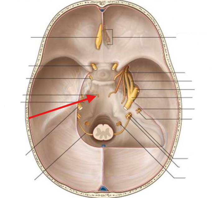 <p>What is this structure?</p>