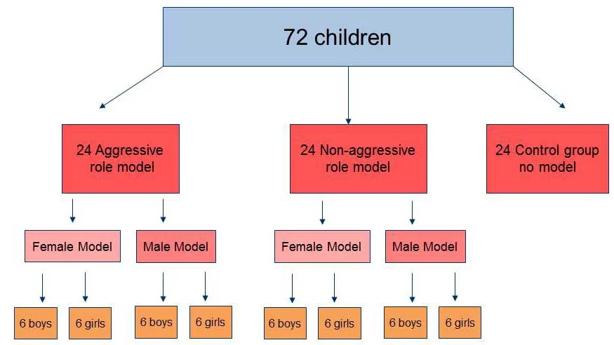 <p><span>Children who observed an adult behaving aggressively towards a Bobo Doll were significantly more likely to imitate that aggressive behaviour, while those who observed non-aggressive behaviour or no model showed little to no aggression.</span></p>