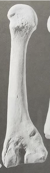 <p>see image</p>