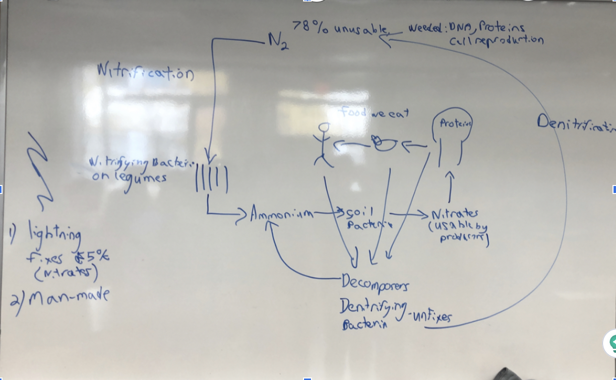 knowt flashcard image