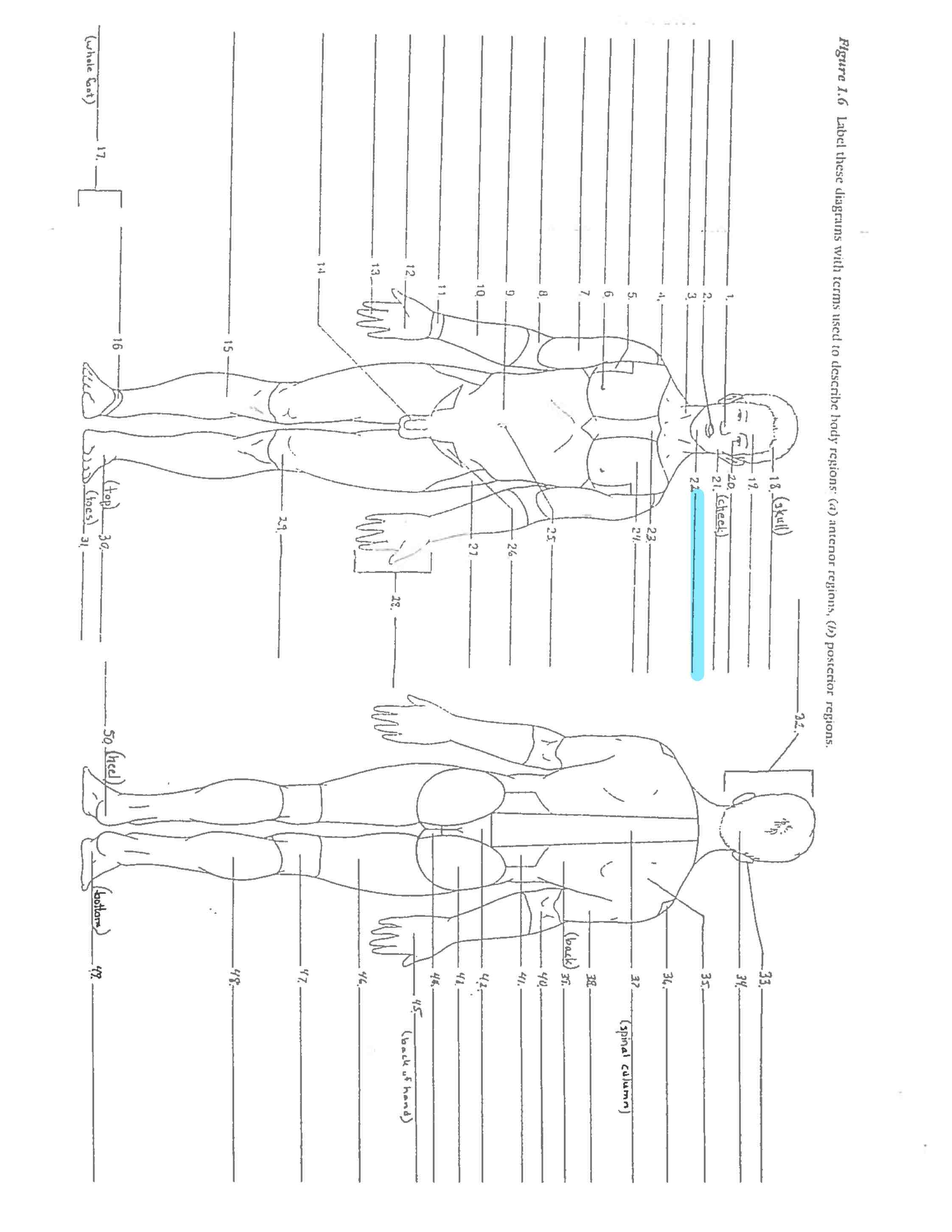 <p>Line. 22</p>