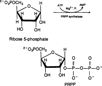 <p>Five-carbon sugar metabolized in PP pathway</p>