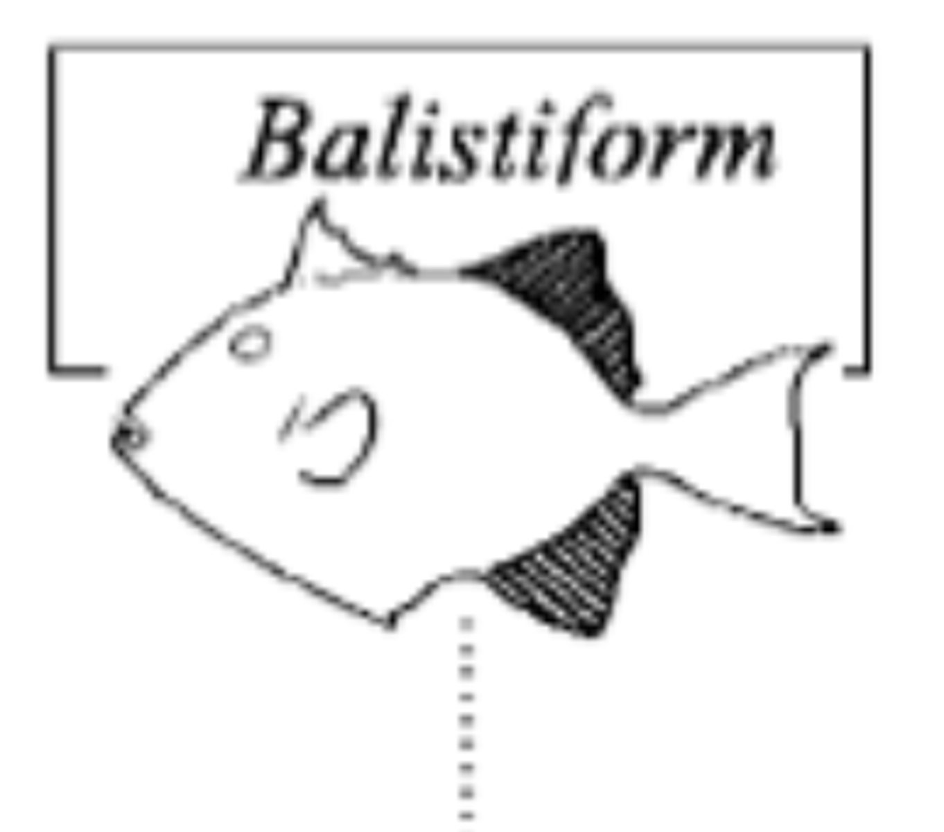 <p>Asynchronous oscillations of dorsal and anal fins.</p>