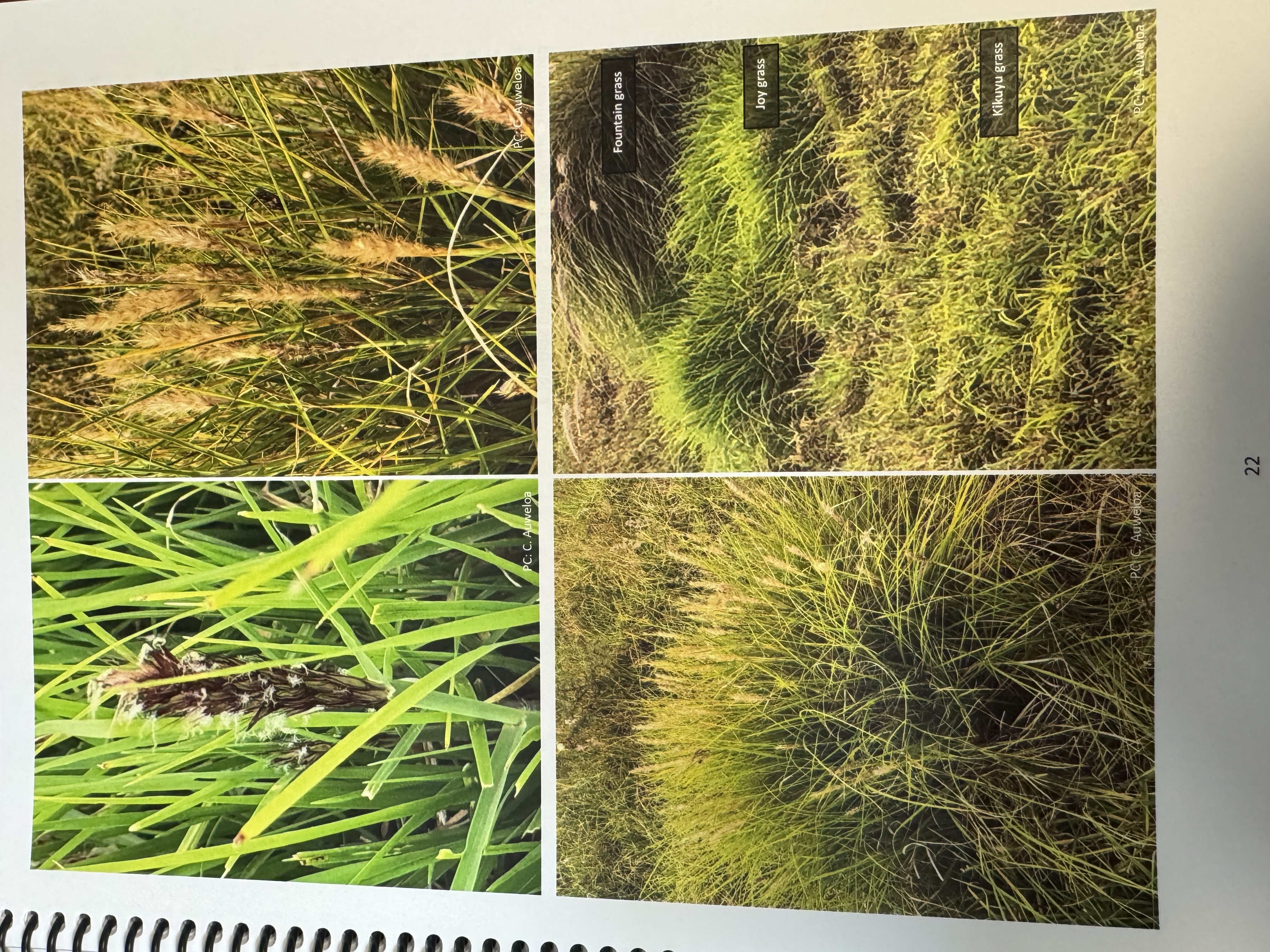 <img src="blob:null/185c30c9-a41b-4dda-aa13-3c5ed9b3df2e"><p></p>