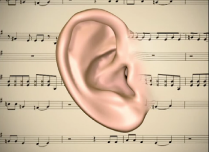 <ul><li><p class="Paragraph SCXO90861218 BCX8" style="text-align: left"><span>Pinnae = visible external parts of the ear  </span></p></li></ul><p class="Paragraph SCXO90861218 BCX8" style="text-align: left"><span> </span></p><ul><li><p class="Paragraph SCXO90861218 BCX8" style="text-align: left"><span>Auditory canal = 3cm tube-like structure, protects middle ear  </span></p></li></ul><p class="Paragraph SCXO90861218 BCX8" style="text-align: left"><span> </span></p><ul><li><p class="Paragraph SCXO90861218 BCX8" style="text-align: left"><span>Tympanic membrane (eardrum) = Cone-shaped, separating the outer and middle ear  </span></p></li></ul><p class="Paragraph SCXO90861218 BCX8" style="text-align: left"></p><ul><li><p class="Paragraph SCXO90861218 BCX8" style="text-align: left"><span>Sound waves induce a difference in pressure either side of tympanic membrane causing it to vibrate  </span></p></li></ul><p class="Paragraph SCXO90861218 BCX8" style="text-align: left"><span> </span></p><ul><li><p class="Paragraph SCXO90861218 BCX8" style="text-align: left"><span>Larger amplitude sounds  = larger vibrations  </span></p></li><li><p class="Paragraph SCXO90861218 BCX8" style="text-align: left"><span>Higher frequency sounds = faster vibrations  </span></p></li></ul><p class="Paragraph SCXO90861218 BCX8" style="text-align: left"><span> </span></p>