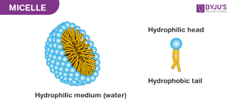 <p>A sphere of phospholipid molecules with only one tail, unlike a liposome there is no vitamin or drug inside, so there is no bilayer unlike a liposome</p><p></p>