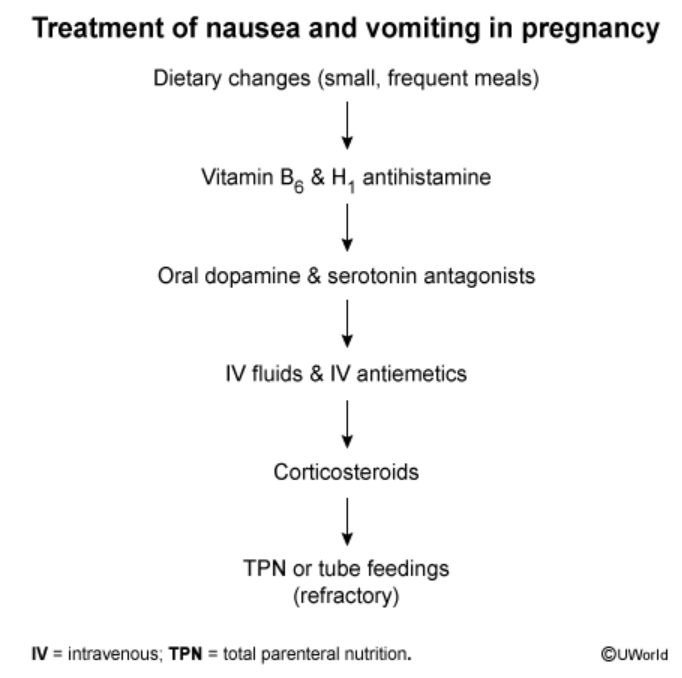 <p>1) Dietary changes (small portions, avoid certain foods)</p><p>2) B6 + antihistamine (Doxylamine)</p><p>3) Dopamine or serotonin —Ondanestron (can cause cardiac abnormalities so 3rd line) , Metoclopramide (can cause terdive dyskinesia)</p>