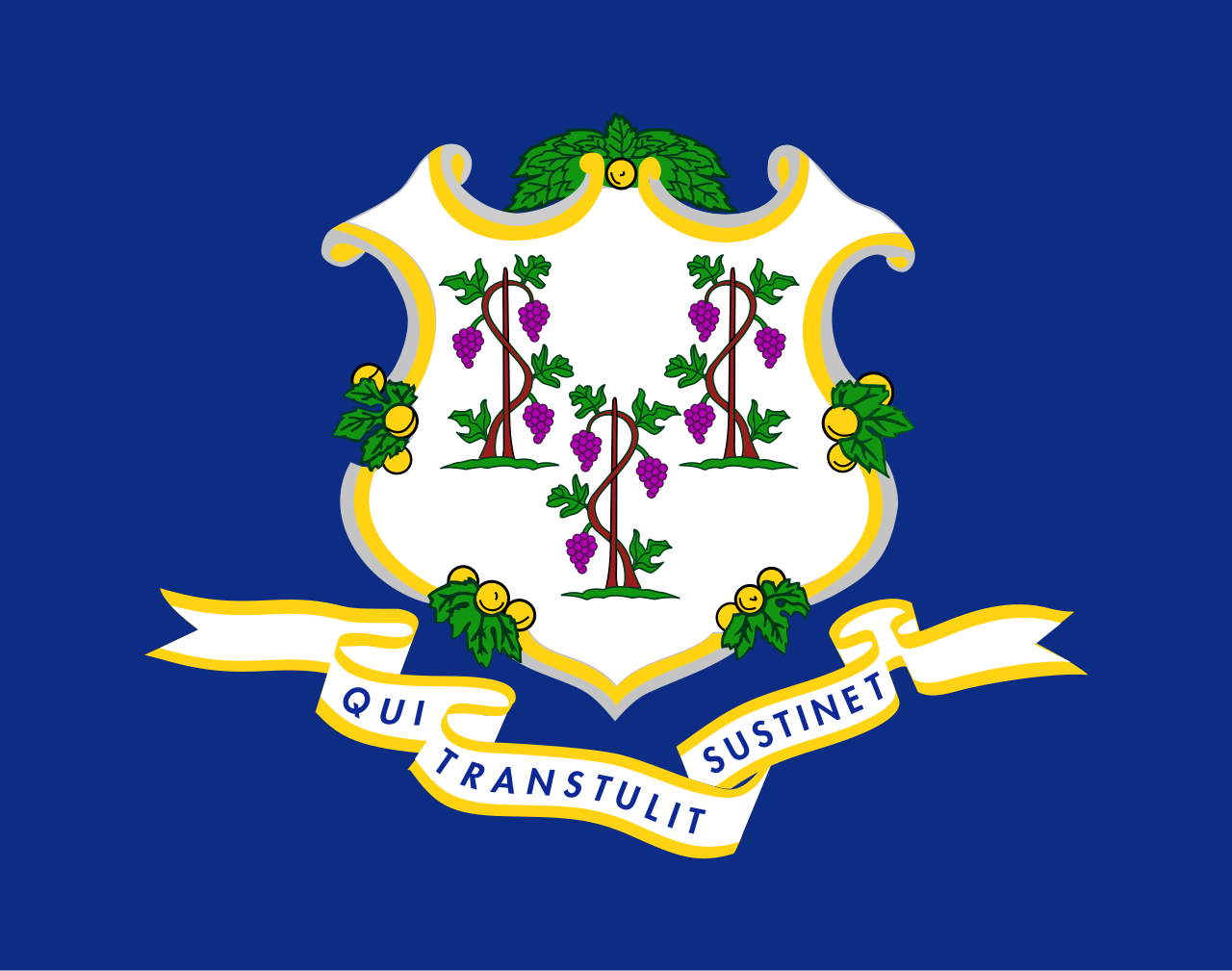 <p>Navy blue background with a white shield with grapevines. Latin inscription “Qui Transtuilt Sustinet”</p>
