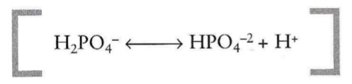 <p>What is the pKa and buffer range of a <strong>phosphate buffer?</strong></p>