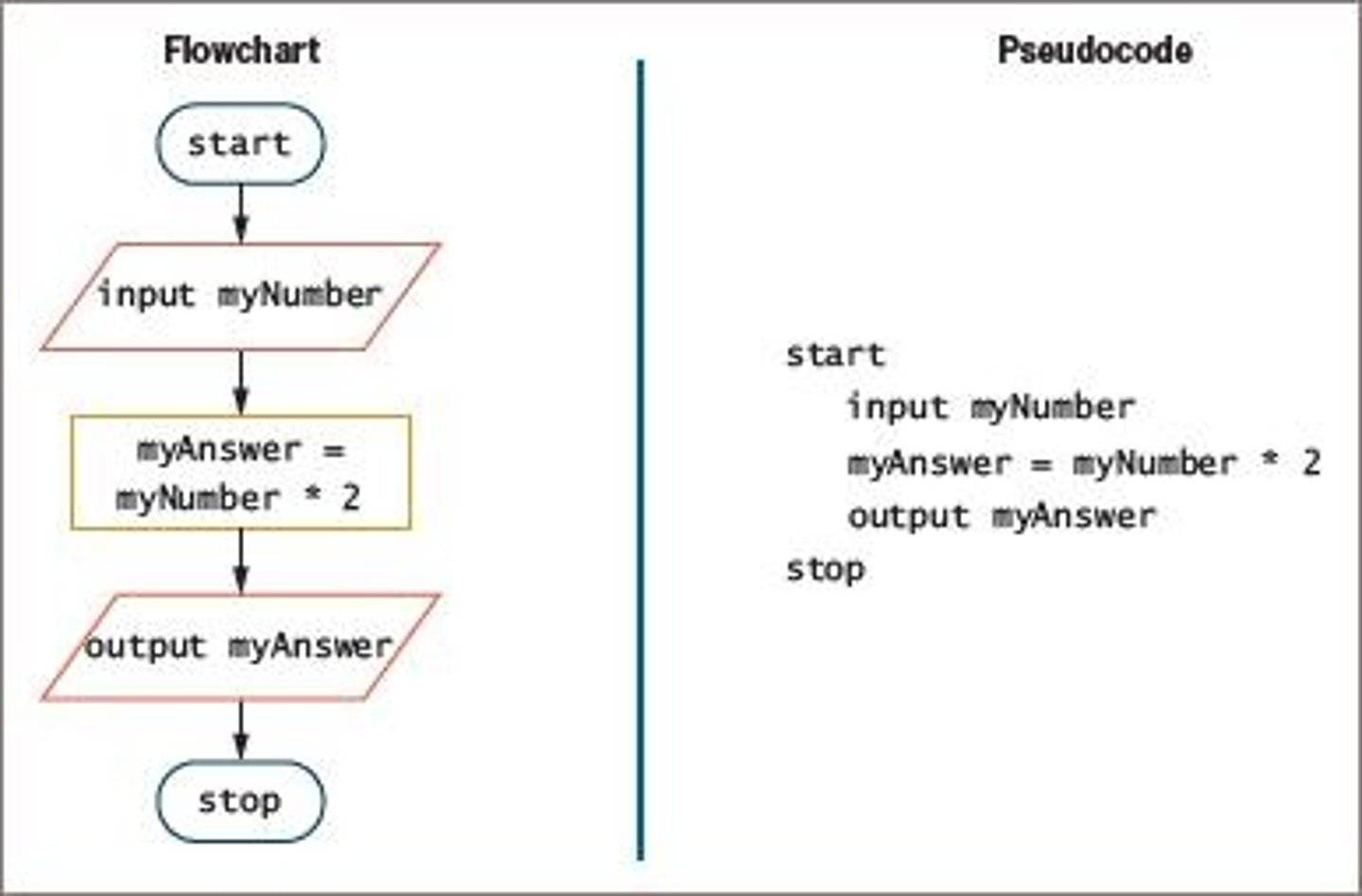 <p>Planning the program's logic is crucial as it involves deciding the steps to include and their order, which can be done using tools like flowcharts and pseudocode.</p>
