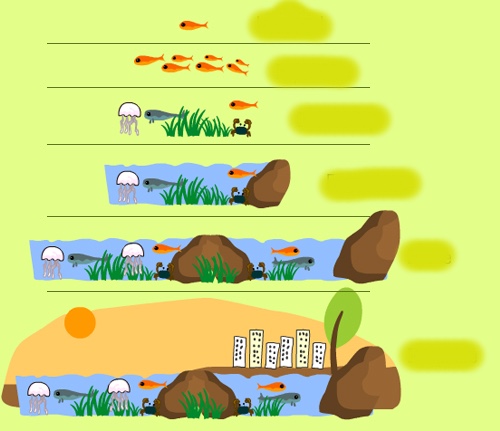 <p>Levels of Organization</p>