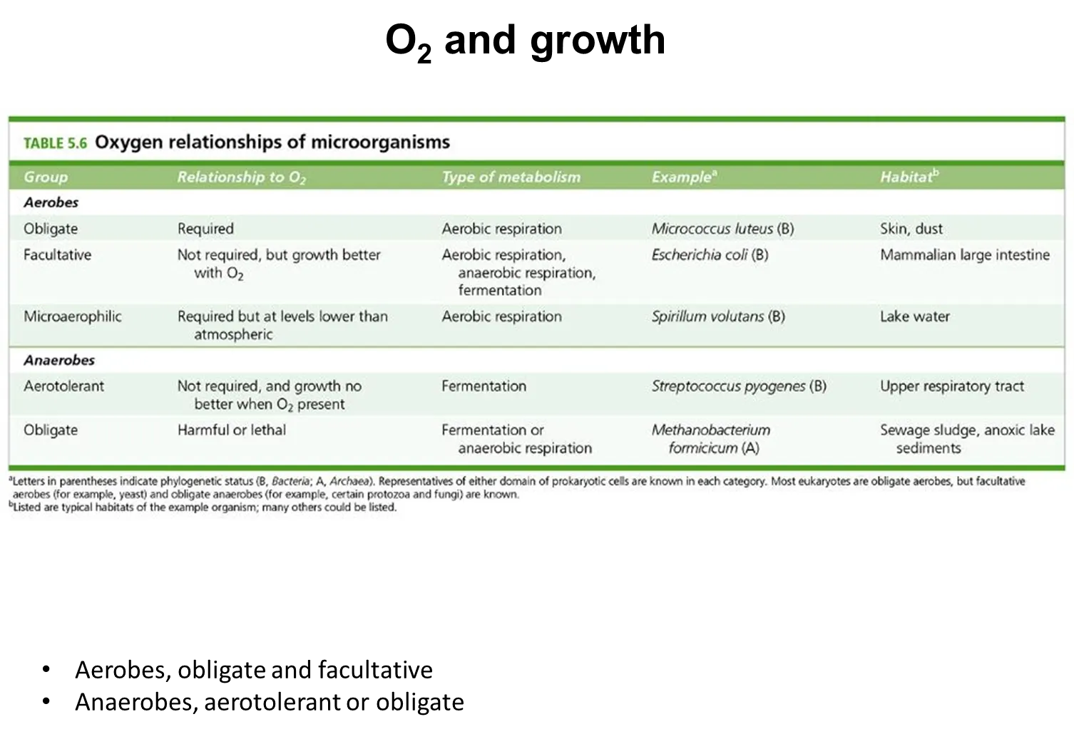<ul><li><p><strong>obligate </strong>aerobes need oxygen to survive- they can’t survive in anaerobic conditions</p></li><li><p><strong>facultative </strong>aerobes grow better in oxygen, but can  survive in anaerobic conditions</p></li><li><p><strong>microaerophilic</strong> aerobes need oxygen to survive, but at less than atmospheric concentrations</p></li></ul><p></p><ul><li><p><strong>obligate </strong>anaerobes need the absence of oxygen- they can’t survive in aerobic conditions</p></li></ul><ul><li><p><strong>aerotolerant </strong>anaerobes don’t need oxygen, and don’t grow any better or worse in aerobic or anaerobic conditions</p></li></ul><p></p>
