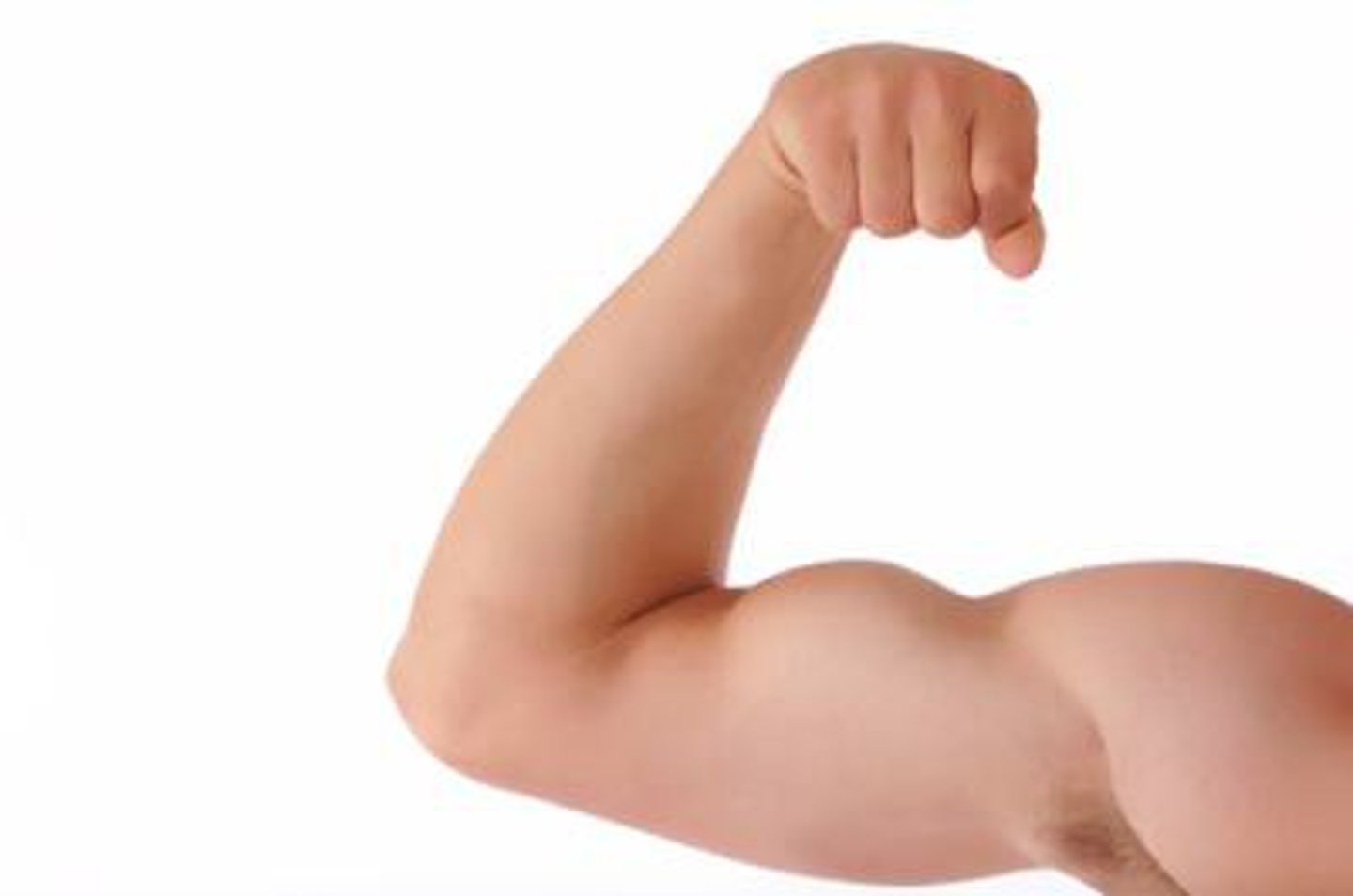 <p>strong</p>