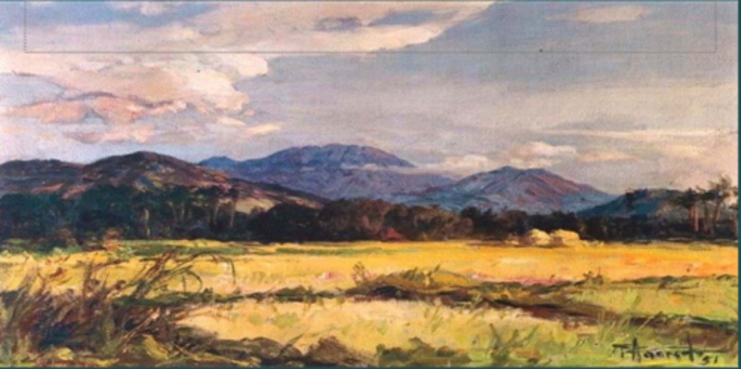 <p>Artists have always been fascinated with their <strong><mark data-color="#f5ebee" style="background-color: #f5ebee; color: inherit">physical environment</mark></strong>.</p>