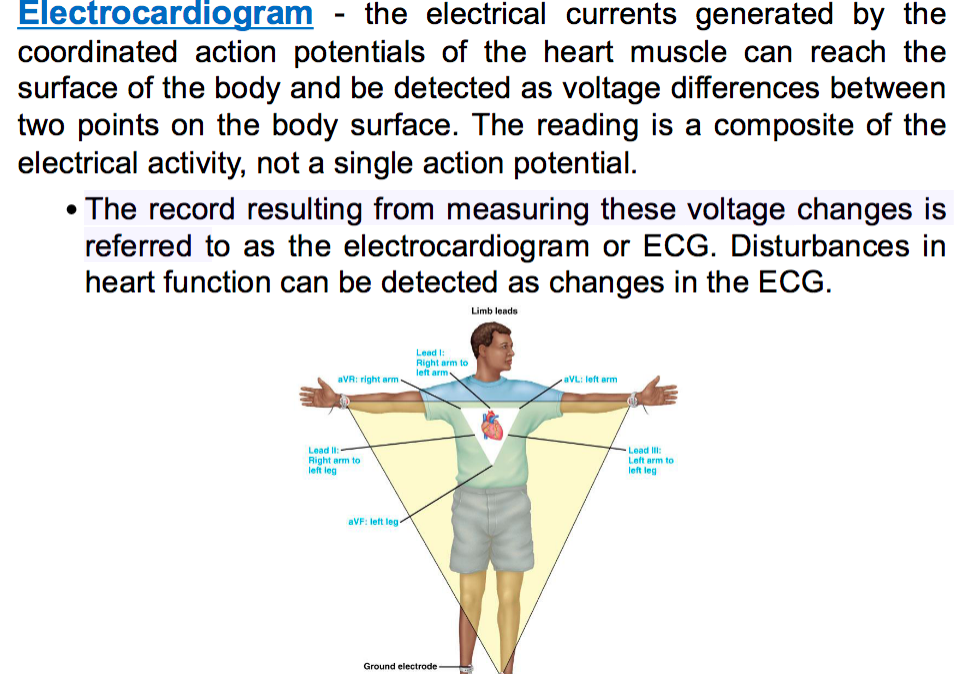 <p>looks at sum of all the action potentials that are fired in one moment : all the cardiac cells in the heart and their action potentials summed up</p><p>-reads the total electrical activity and looks at the voltage differnce as it goes through depolarization to repolarization at two different points of the body </p>