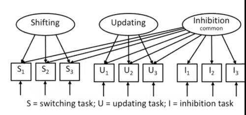 Shifting
- shifting between mental sets or operations by disengaging from an irrelevant mental set and actively engaging in a set relevant to the current task

Updating 
- active process of monitoring incoming information and 'updating' items held in working memory by replacing irrelevant information with task-relevant information

Inhibition
- active and deliberate overriding of a dominant or automatic response in order to complete a task

Unity-Diversity EF Framework (Miyake and Friedman 2012)
- Unity is represented by the arrows from the distinct inhibition factor linking all tasks
- Diversity is represented as each factor is linked by arrows to their respective tasks (and only their tasks for updating and shifting)