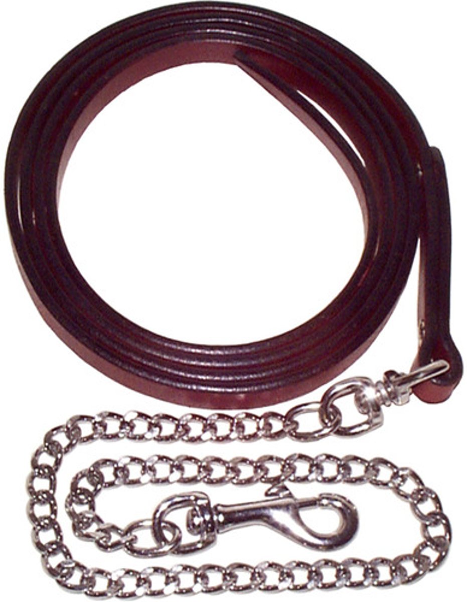 <p>lead rope with chain</p>