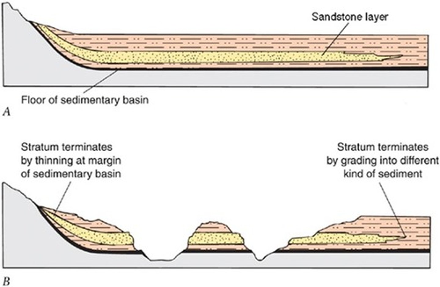 <p>layers of sediment initially extend laterally in all directions & thinning unless obstructed by topography</p>