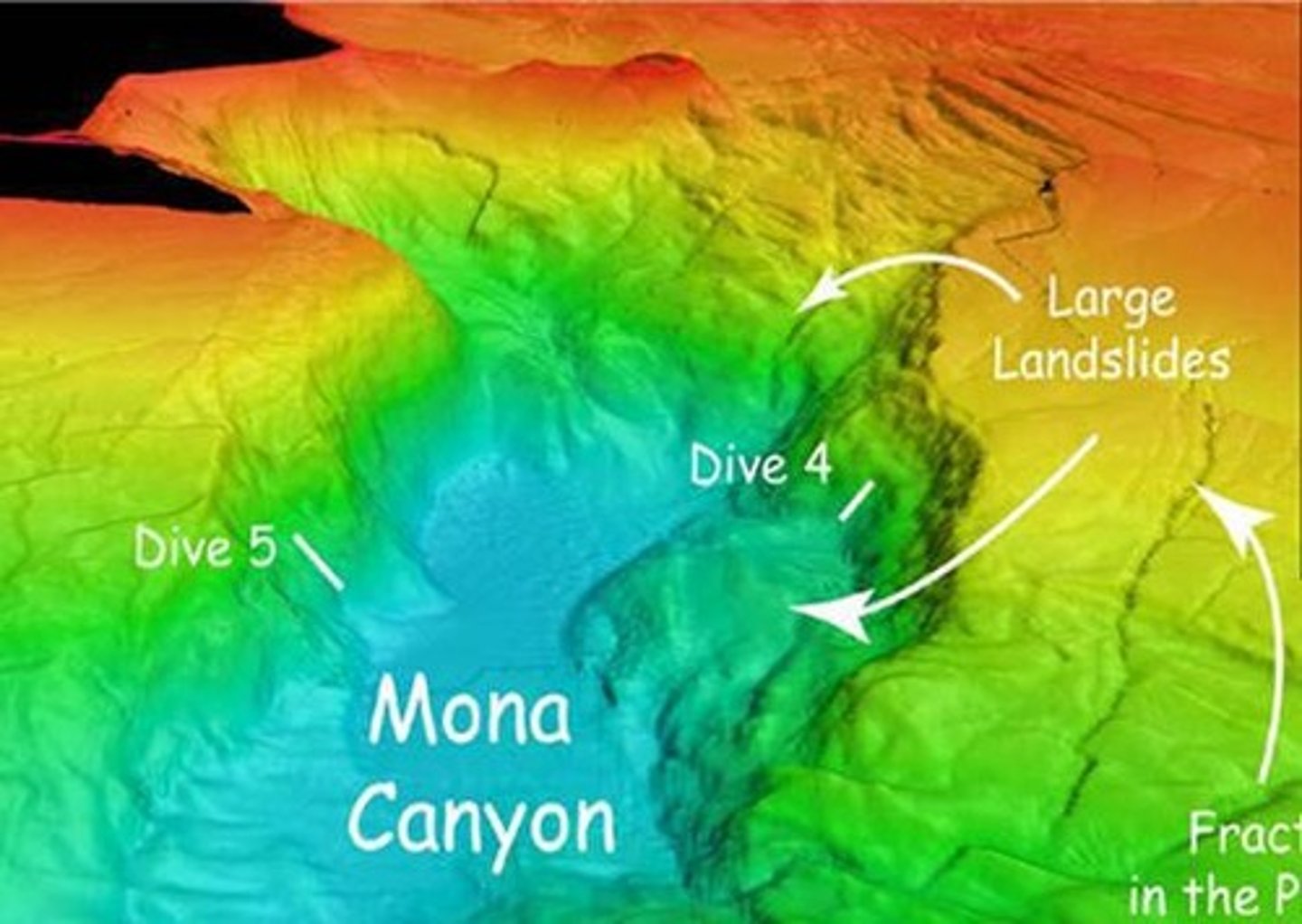 <p>Deep, V-shaped valleys incised into the continental slope and shelf, formed by turbidity currents.</p>