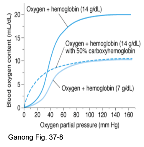 <ul><li><p>Anemia not severe at rest unless Hb severely decreased; worse with exercise.</p></li><li><p>RBCs ↑ <strong>2,3-BPG</strong> → easier O₂ release.</p></li><li><p>With CO present:</p><ul><li><p>Less O₂ delivered</p></li><li><p>CO binding prevents O₂ release</p></li><li><p>Curve shifts <strong>left</strong> → ↓ unloading at tissues.</p></li></ul></li></ul><div data-type="horizontalRule"><hr></div><p>JW HY: </p><ul><li><p>All hemoglobin can bind oxygen at a partial pressure of 100, however, if we look at what's happening at the tissues at a partial pressure of 40, what you can see is tissue oxygen content is down, which is good. That means I'm unloading at the tissues</p></li><li><p><span><span>This person that has carbon monoxide poisoning is not able to let go of O2 level of the tissues, and this person with anemia, their hemoglobin is still functioning normally with that sigmoidal cooperative binding and being able to unload.</span></span></p></li></ul><p></p>