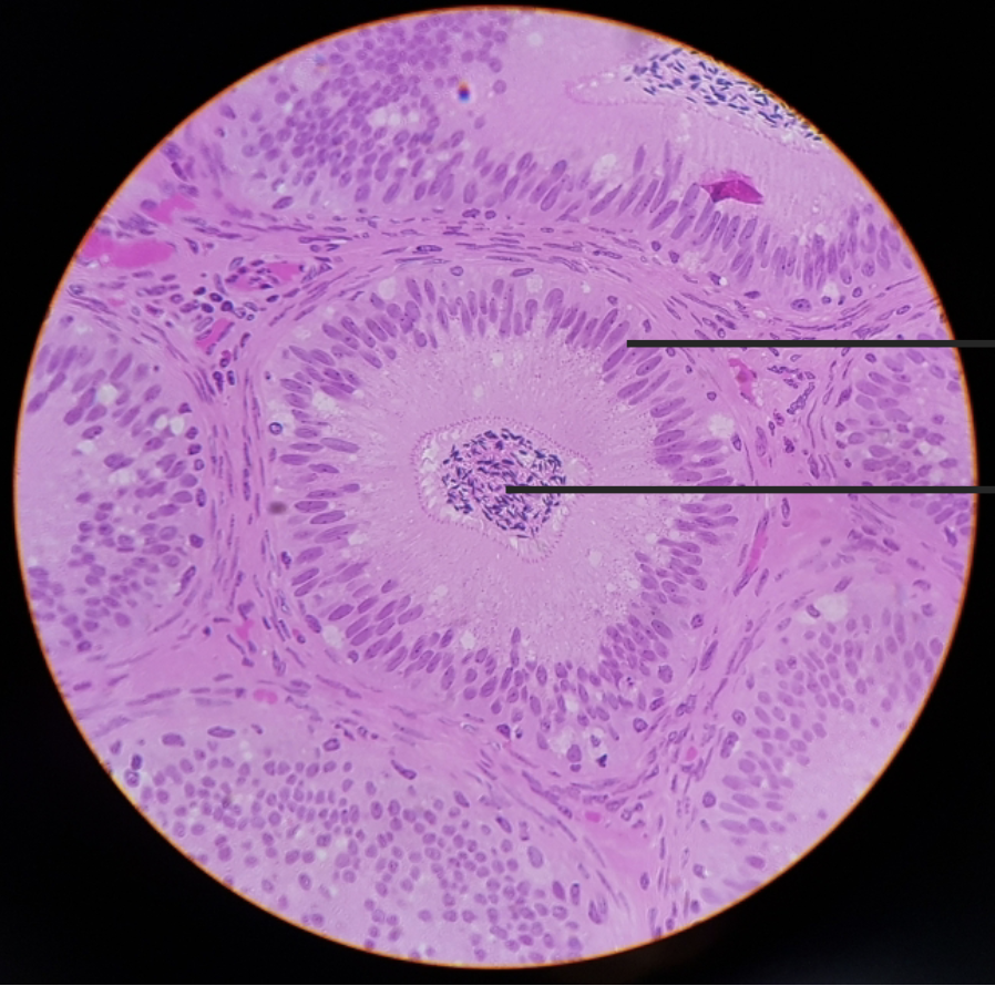 <p>what is this?</p>