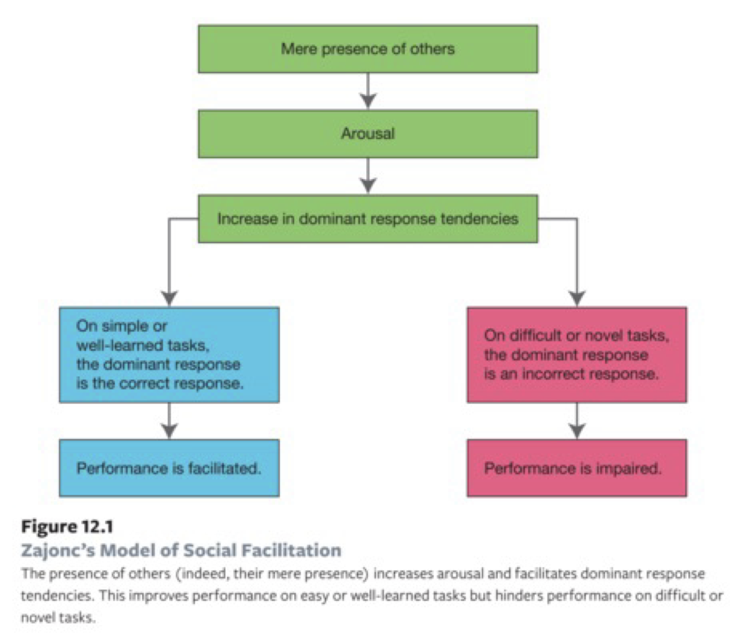 The model of Social Facilitation. 