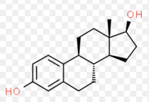 <p>and converts to esterone</p><p>made in ovaries</p><p>aka estrogen</p>