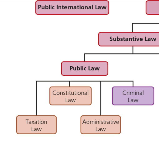 <p><span>Concerns relationships between the individual and society (e.g., constitutional, criminal, and taxation law). </span></p><ul><li><p><span>This includes Canada vs. an individual, Crown vs. accused (wrongdoings against the state and society as a whole). </span></p></li><li><p><span>Trafficking an illegal substance, a drug dealer is considered to be causing harm to society as a whole; consequently, under public law, court cases are not between a victim and accused. </span></p></li><li><p><span>Penalties can be more severe. </span></p></li><li><p><span>Criminal code, Youth Criminal Justice Act, Controlled Substances Act. </span></p></li></ul><p></p>