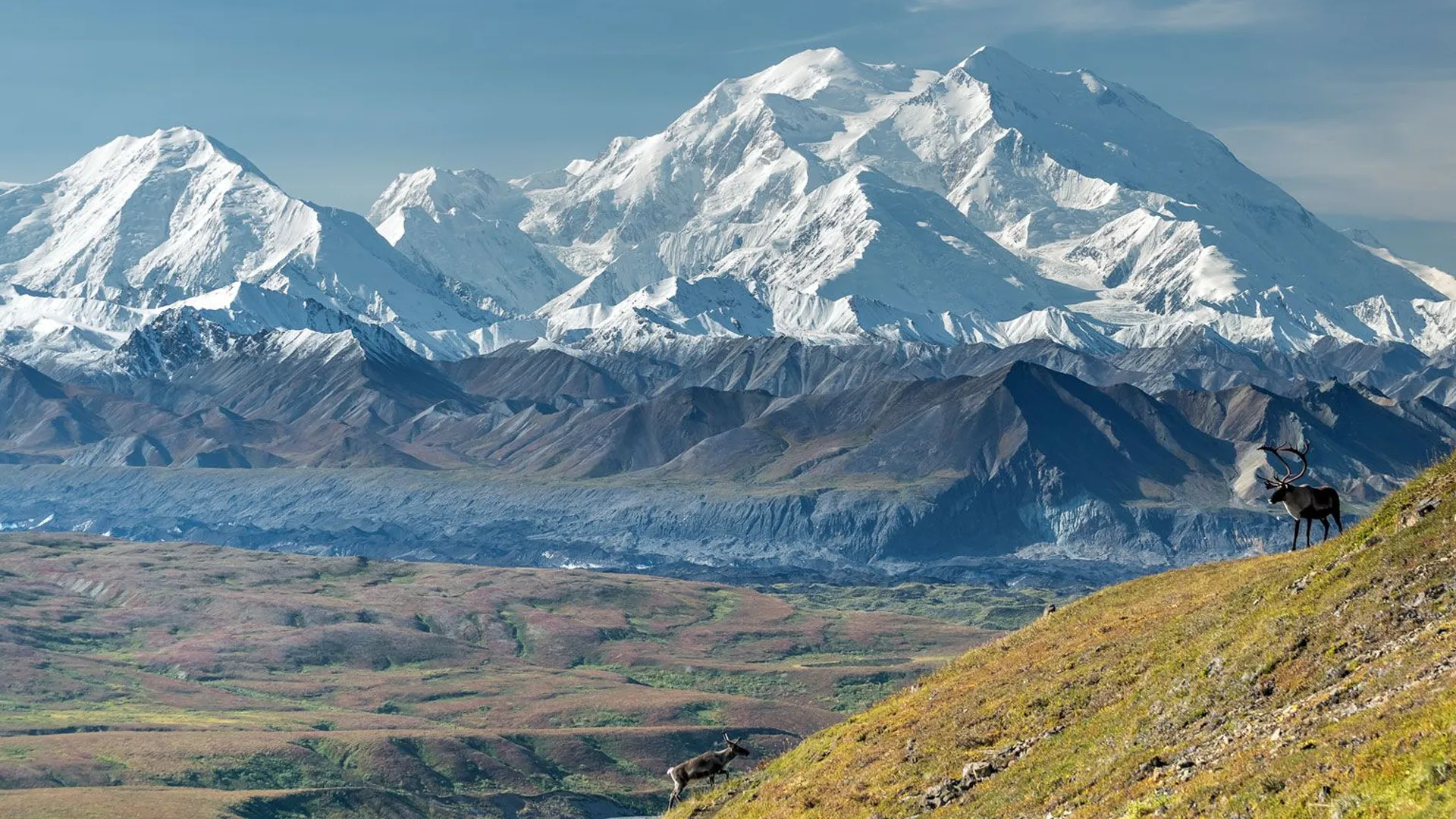 <p>A high elevated area created by shifting of tectonic plates </p>