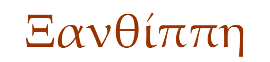 term image