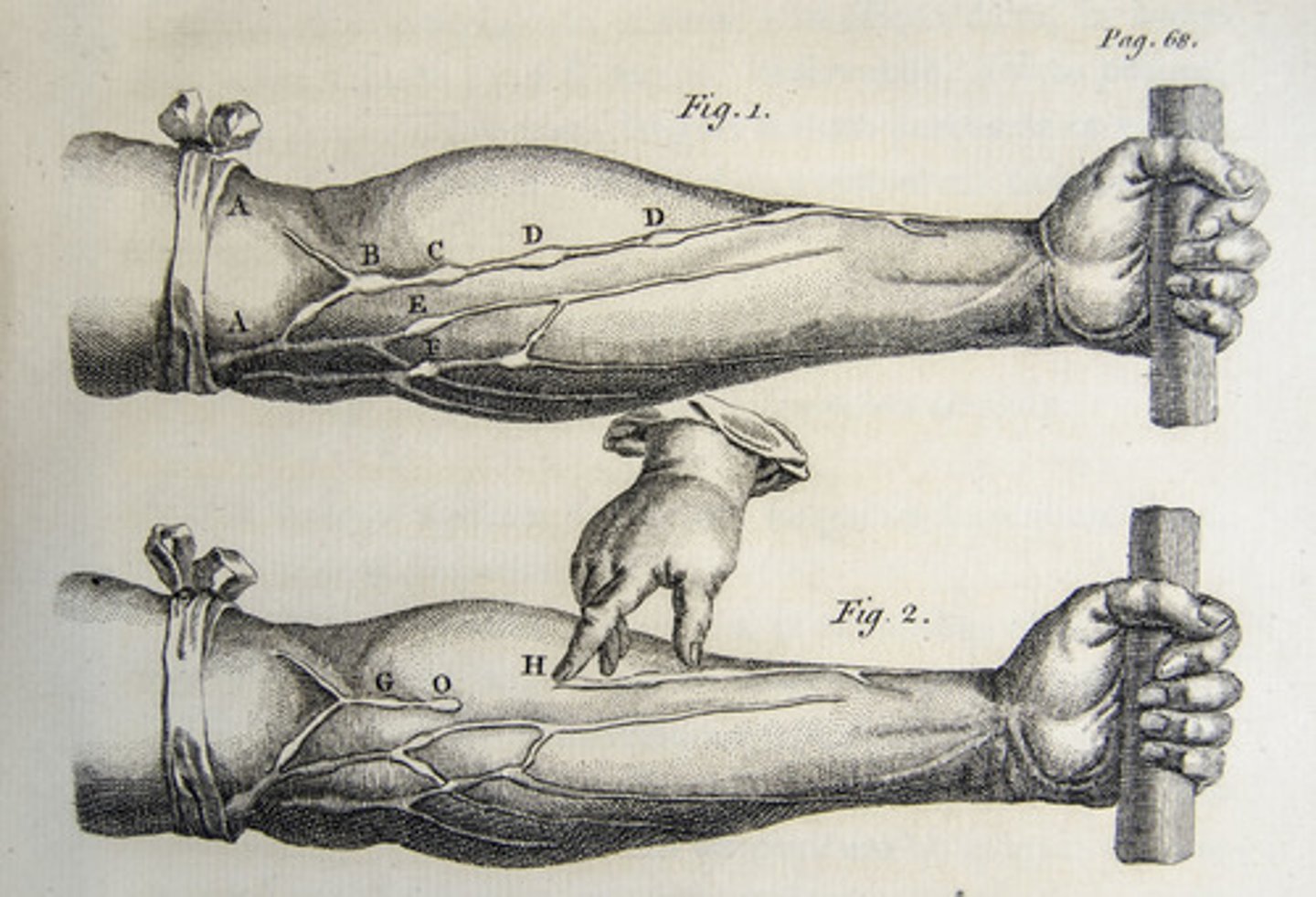 <p>English physician who discovered the circulation of blood through the body, challenging traditional views of anatomy.</p>