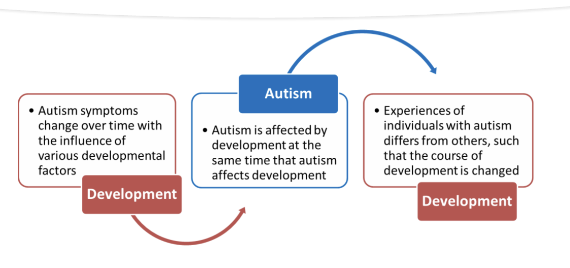 <ul><li><p>Development affects Autism, and Autism affects Development.</p></li><li><p>VIEW IMAGE</p></li></ul><p></p>