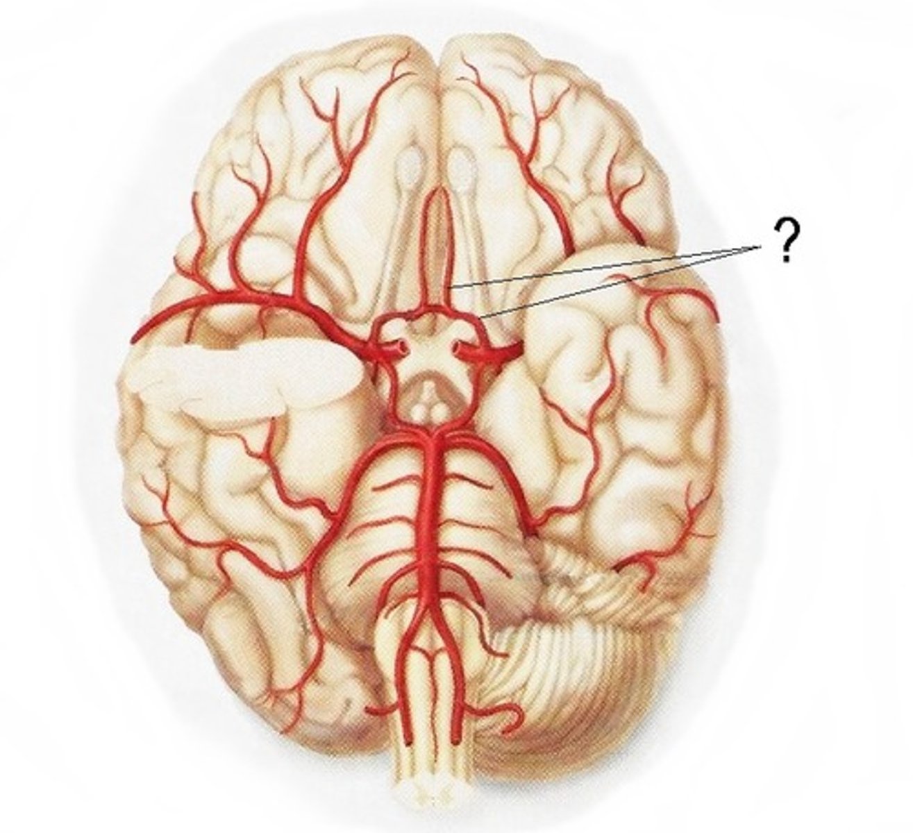 <p>What is this?</p>
