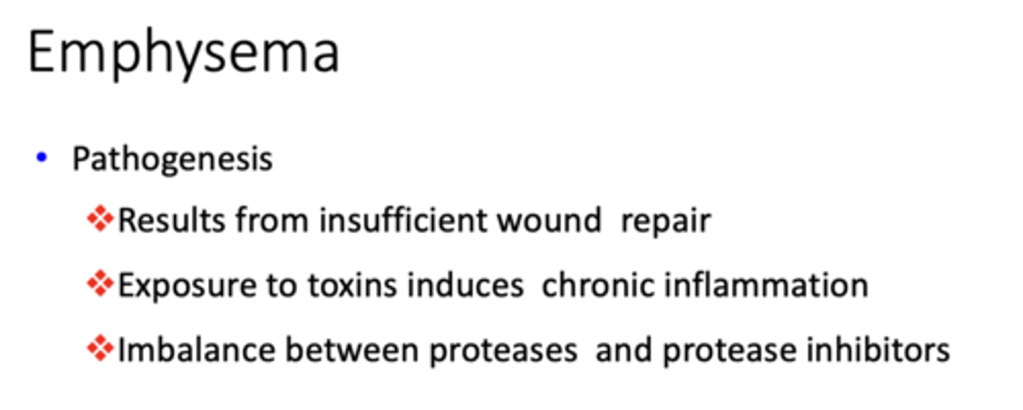 <p>Emphysema</p>