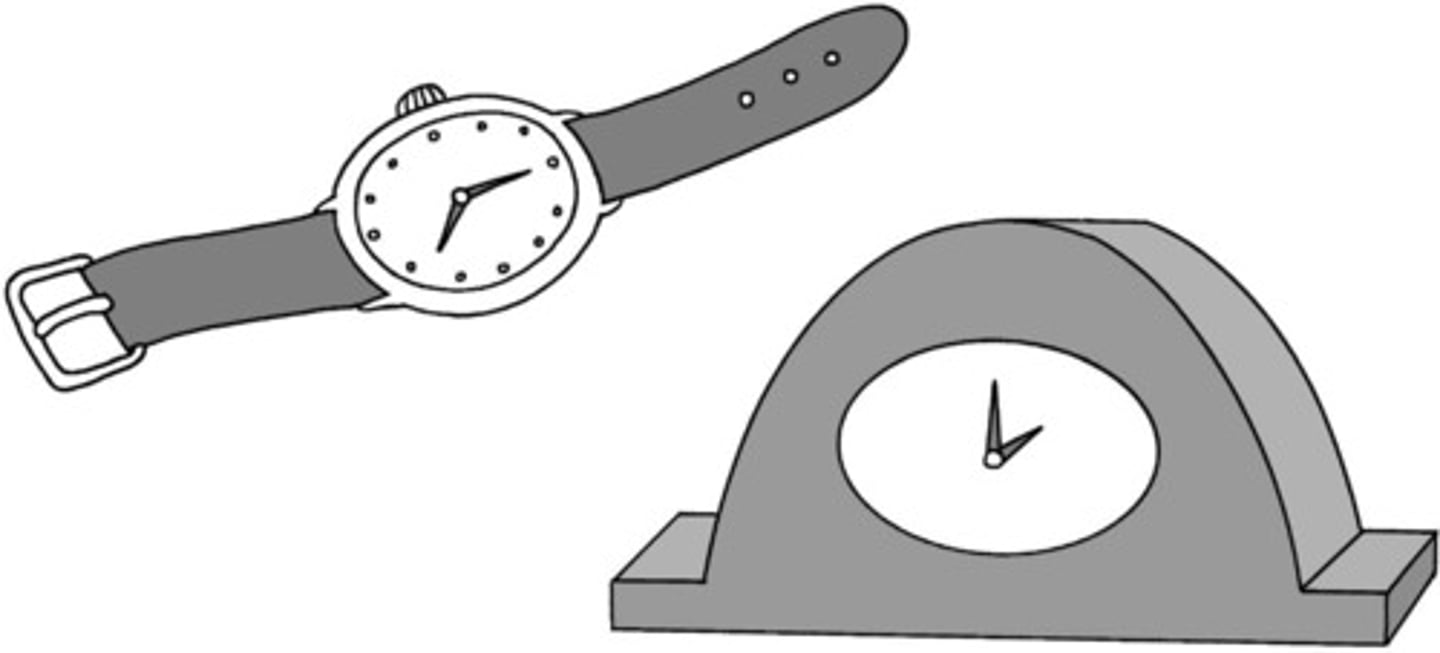 <p>watch; clock</p>