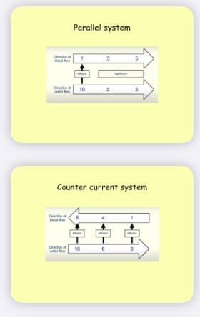 <p>Parallel - diffusion <span style="color: red;"><mark data-color="yellow" style="background-color: yellow; color: inherit;">gradient quickly decrease </mark></span>- diffusion only happens at the <span style="color: red;"><mark data-color="yellow" style="background-color: yellow; color: inherit;">start</mark></span> </p><p>Counter-current - <span style="color: red;"><mark data-color="yellow" style="background-color: yellow; color: inherit;">maintains diffusion gradient</mark></span> - diffusion the <span style="color: red;"><mark data-color="yellow" style="background-color: yellow; color: inherit;">full length of capillary </mark></span></p>