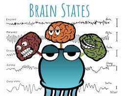 <p>what is the type type identity theory </p>