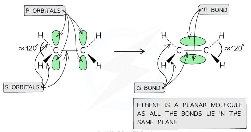 <ul><li><p>Carbons use 3 of 4 electrons to form σ bonds ( 2 σ with H and 1 σ with other carbon)</p></li><li><p><span>fourth electron from each carbon atom occupies a p orbital which overlaps </span><strong>sideways </strong><span>with another p orbital on the other carbon atom to form a π bond</span></p></li><li><p><span>means that the C-C is a </span><strong>double bond</strong><span>: one σ and one π bond</span></p></li></ul>