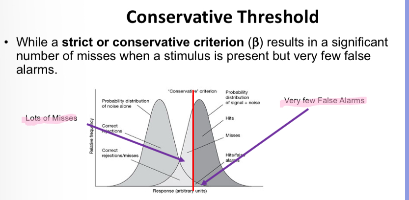 <p>Explain the graph</p>