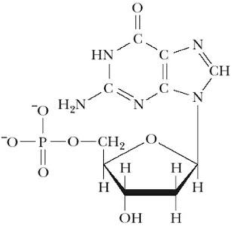 <p>what is this structure?</p>