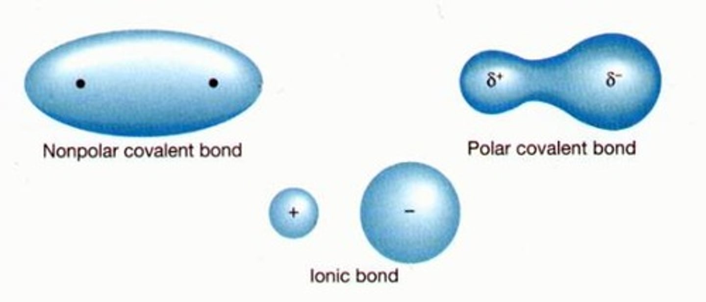 <p>Polar: when atoms are different &amp; have different EN, and electrons are attracted unequally by atoms (δ+, δ-)</p><p>Non-polar: when atoms are the same of of similar EN, and electrons are shared equally</p>