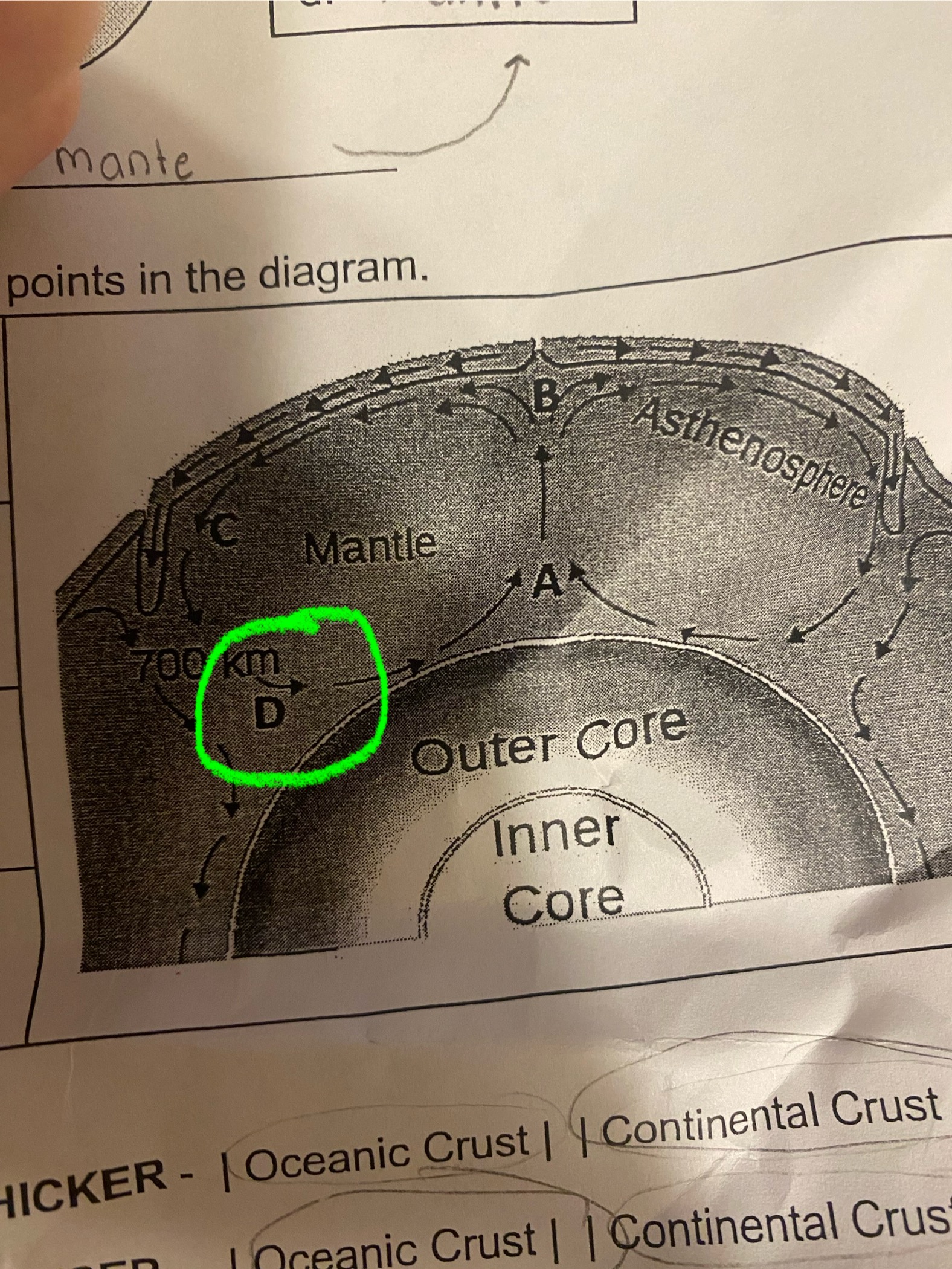 term image