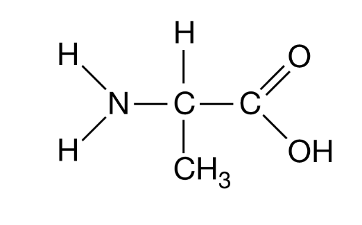<p>Figure 1. An amino acid </p><p>The amino acid in Figure 1 is found in a region of a polypeptide that folds away from water.</p>