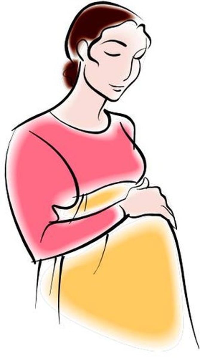 <p>fancy word for fertility or the ability of a woman to conceive</p>