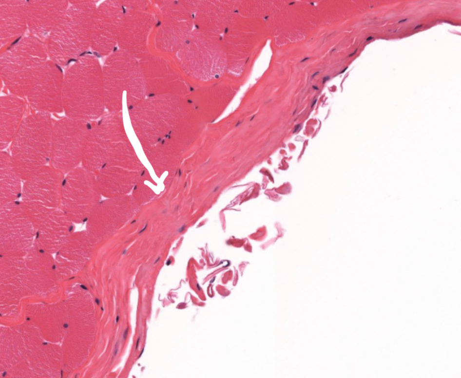 <p>What is this?</p>