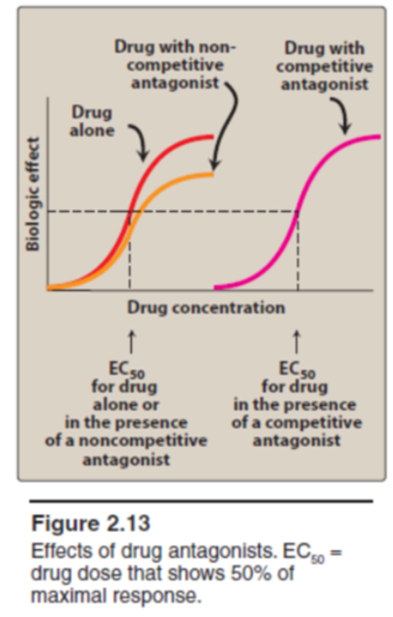 <p>noncomp antag= lowest dose needed (furthest to left)</p><p>- nothing at receptor, not a lot of drug needed</p><p>partial ag= middle</p><p>comp antag= highest dose needed (furthest to right)</p><p>- need more drug to outcompete</p>