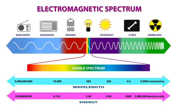 <p>radio, microwave, infrared, visible, UV, x-ray, gamma</p><p></p>