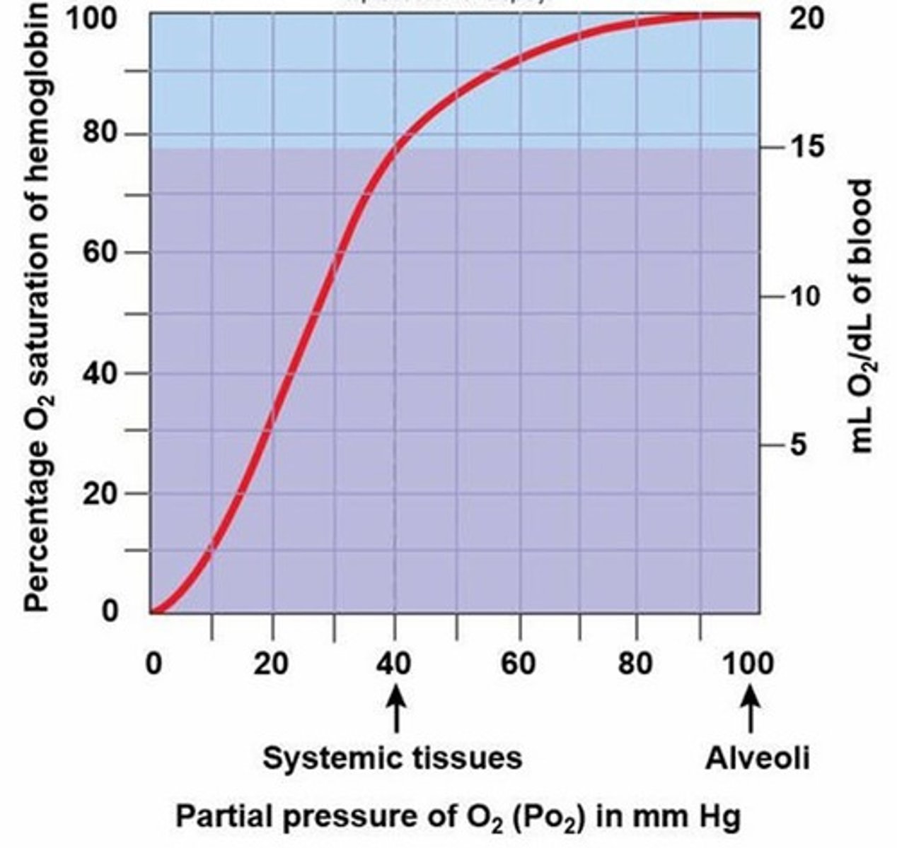 <p>According to the graph above, hemoglobin delivers about __________ of its oxygen load to the systemic tissues.</p><p>A) 22%</p><p>B) 78%</p><p>C) 1.5%</p><p>D) 56%</p><p>E) 98.5%</p>