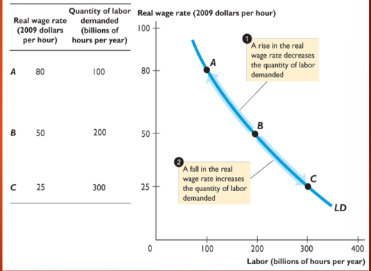 <p>quantity of labor demanded compared to real wage rate</p>