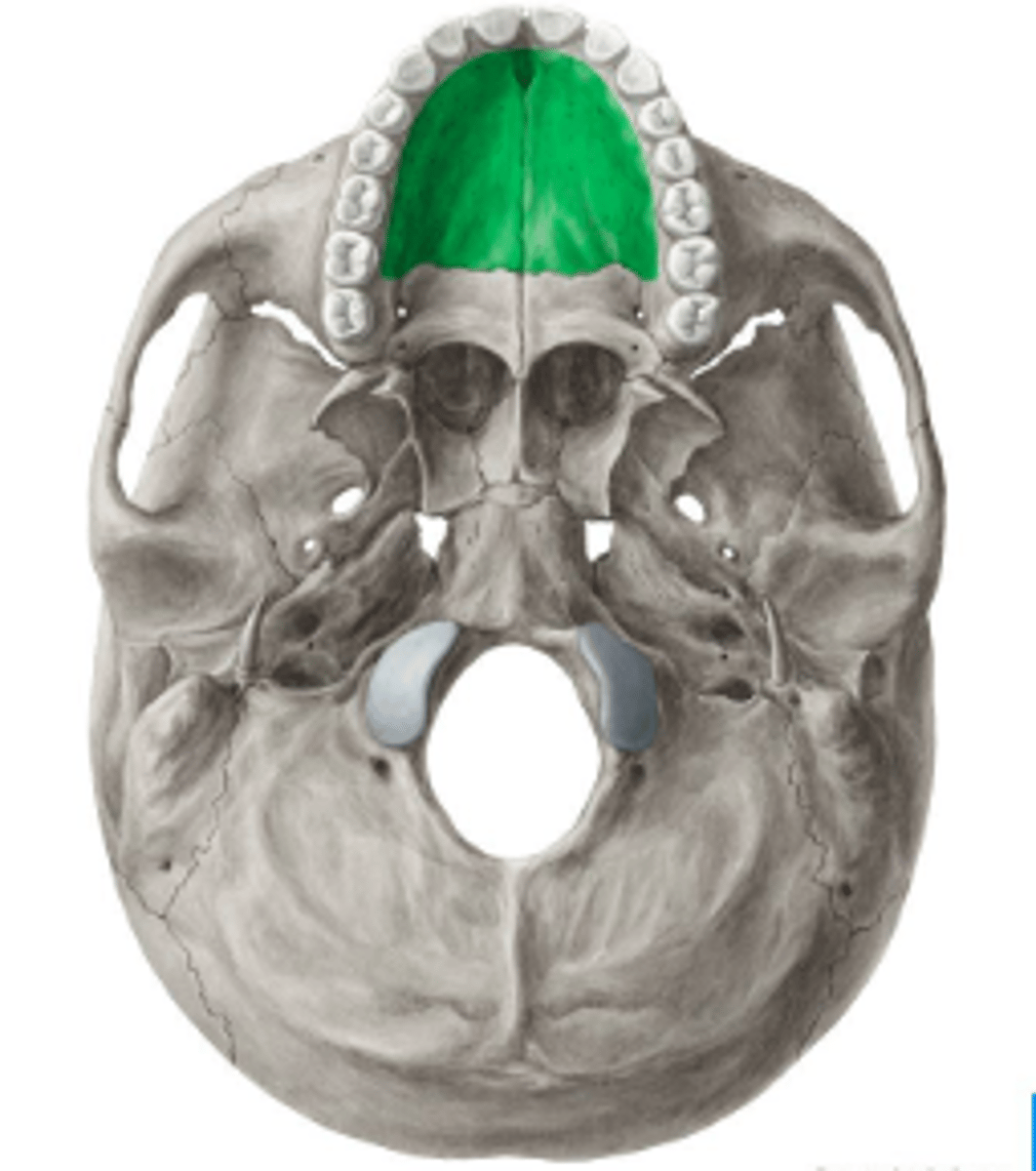knowt flashcard image